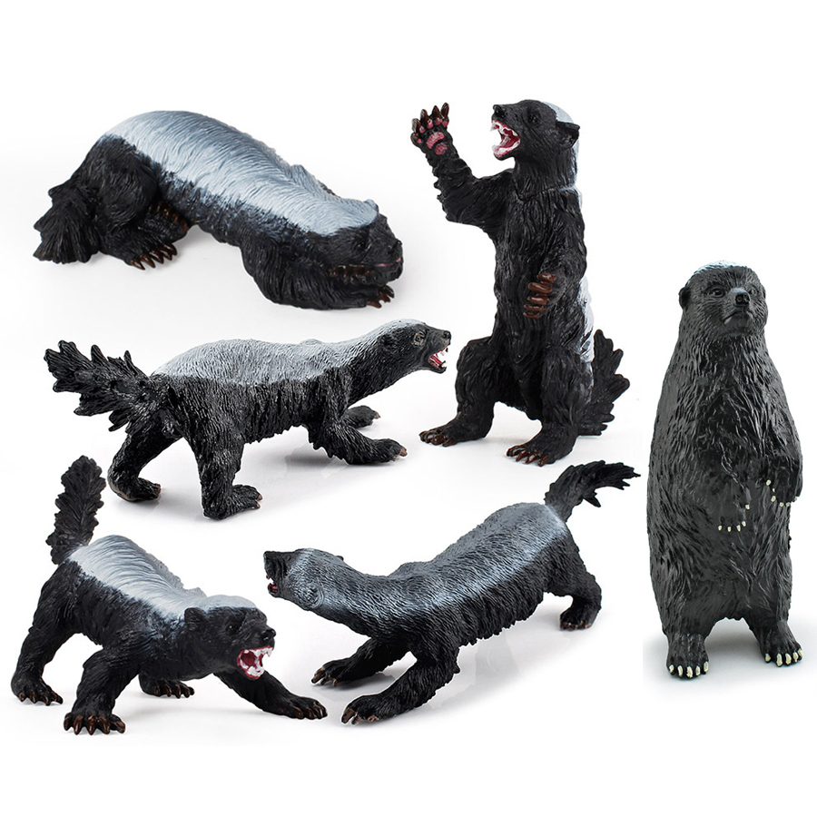 Kids Education Picture - Realistic Honey Badger Model Simulation Wild