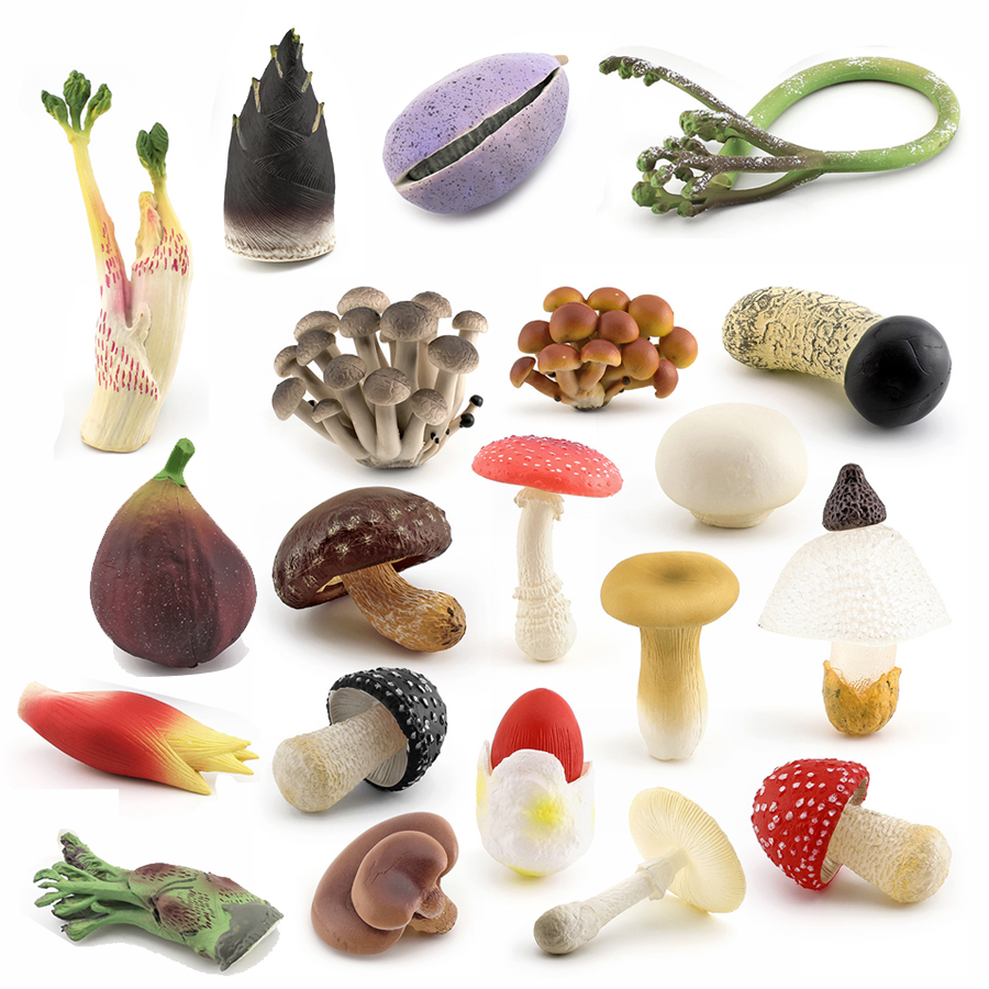 Kids Education Shows - Simulation Vegetable Plant Mushrooms Amanita Muscaria
