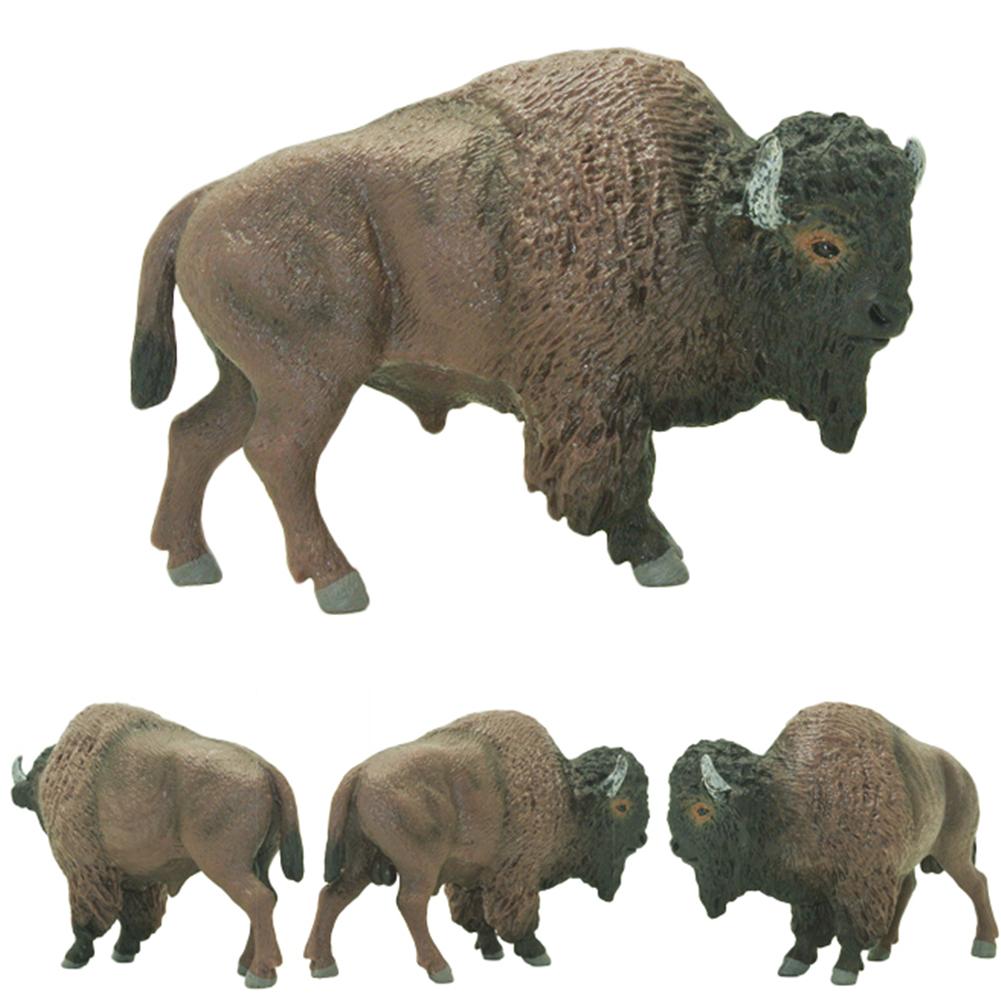 Kids Education Shows - Original Genuine Wild Life Zoo Animal