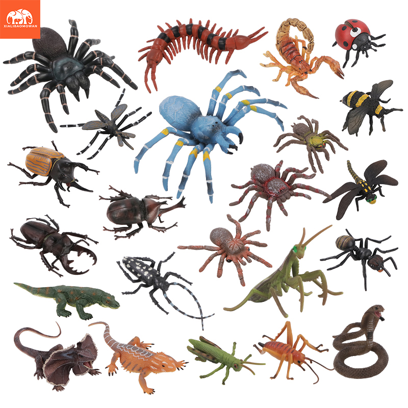 Kids Education Picture - Educational Simulation Insect & Wild Animal