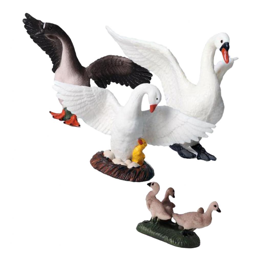 Kids Education Shows - Realistic Swan Figurines Lifelike Animal Desktop