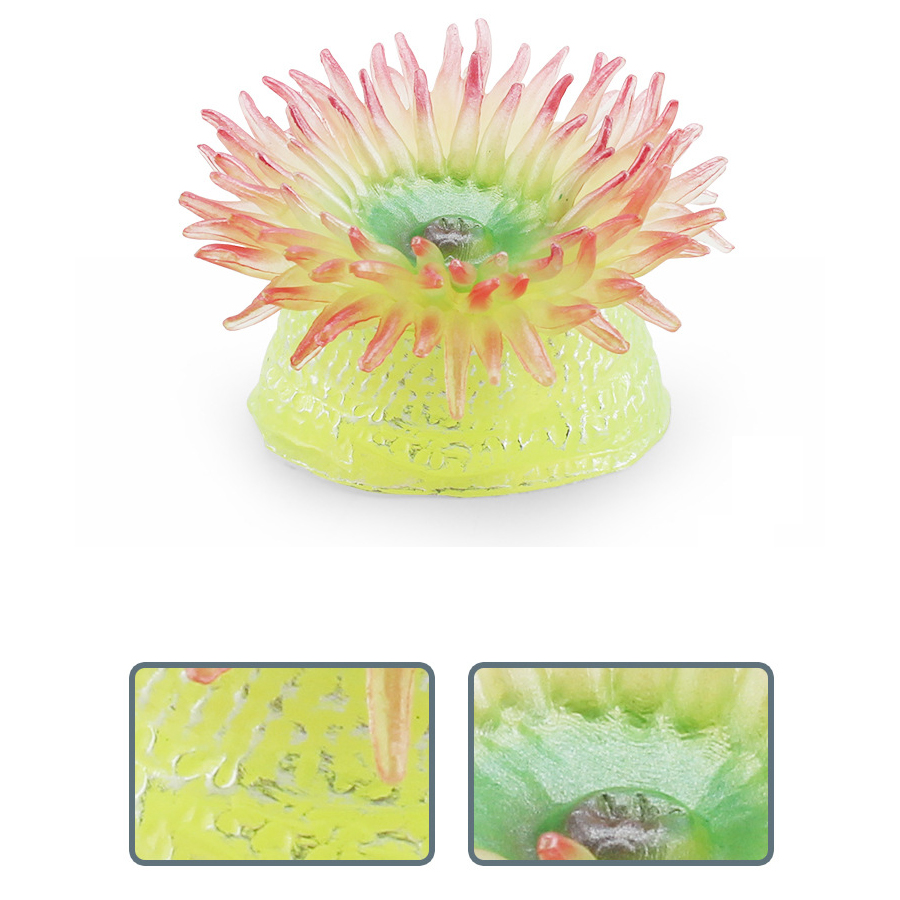 Realistic Coral Sea Anemones S - огляд і ціна Kids Education Picture