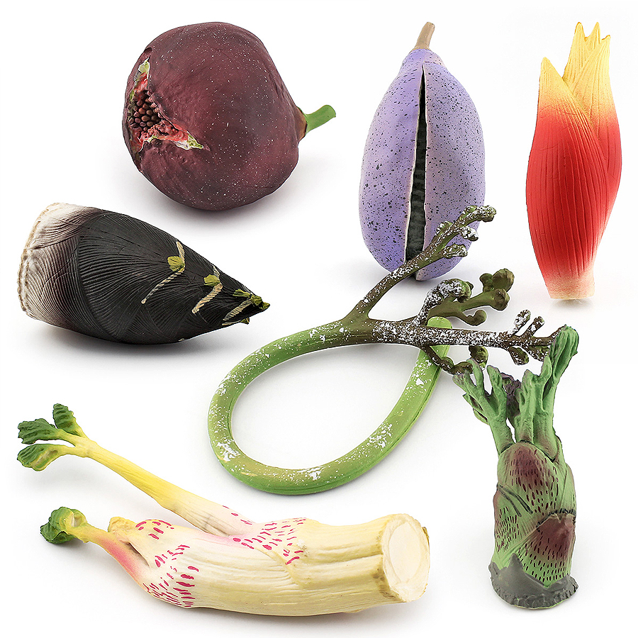 Simulation Vegetable Plant Mus - огляд і ціна Kids Education Shows