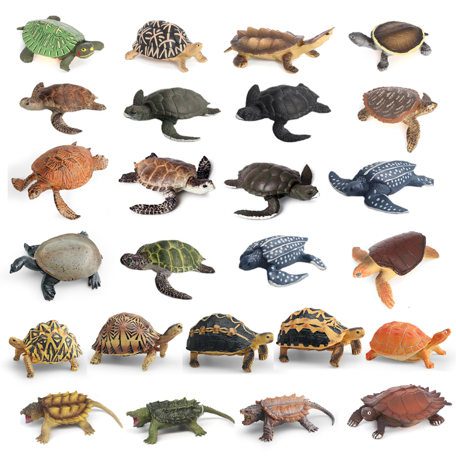 Simulation Chinese Softshell L - огляд і ціна Kids Education Picture