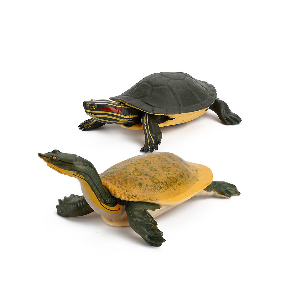 Simulation Chinese Softshell L - огляд і ціна Kids Education Picture