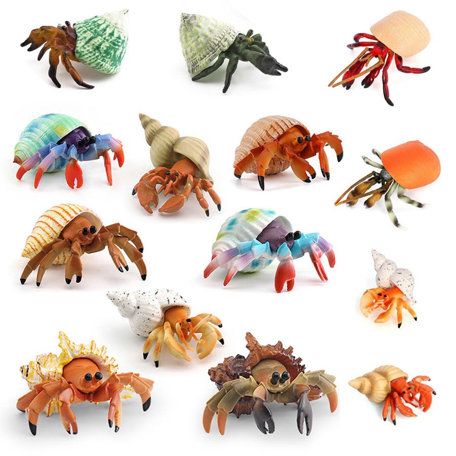 Realistic Hermit Crab Figurine - огляд і ціна Kids Education Picture