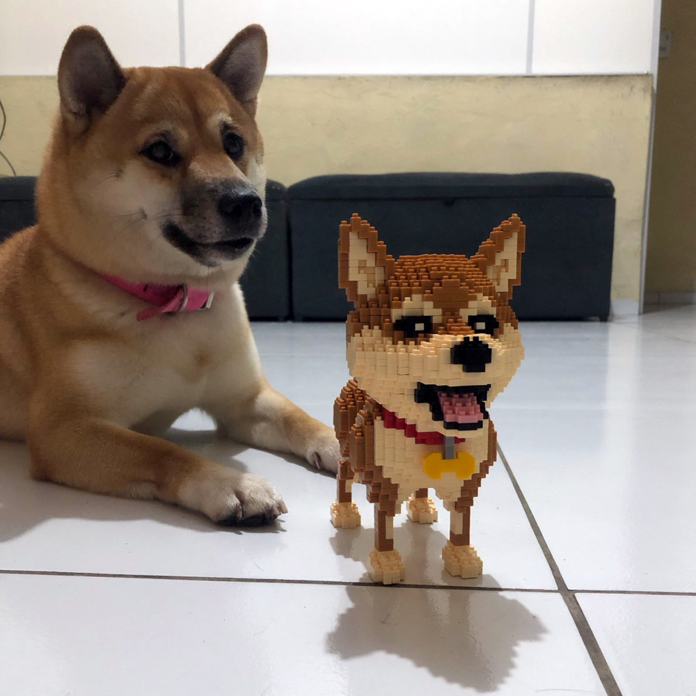 KNEW BUILT Shiba Inu Dogs Mode - огляд і ціна Kids Education And Recreation