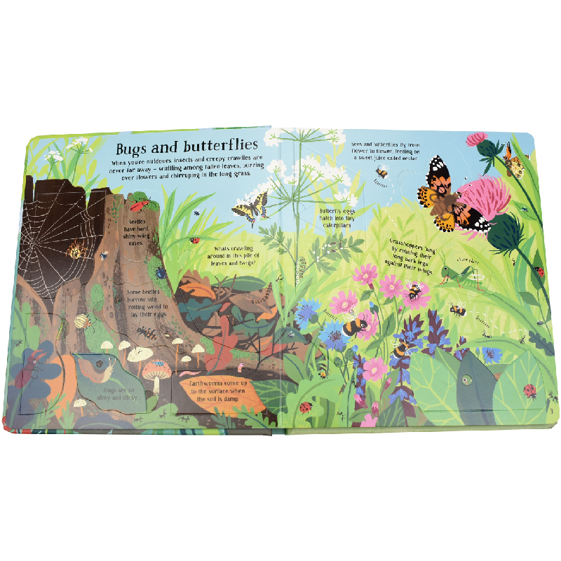 English Montessori 3D Usborne  - огляд і ціна Kids Education Picture