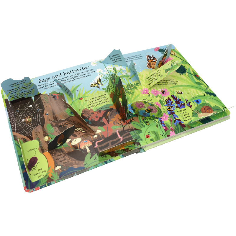 English Montessori 3D Usborne  - огляд і ціна Kids Education Picture