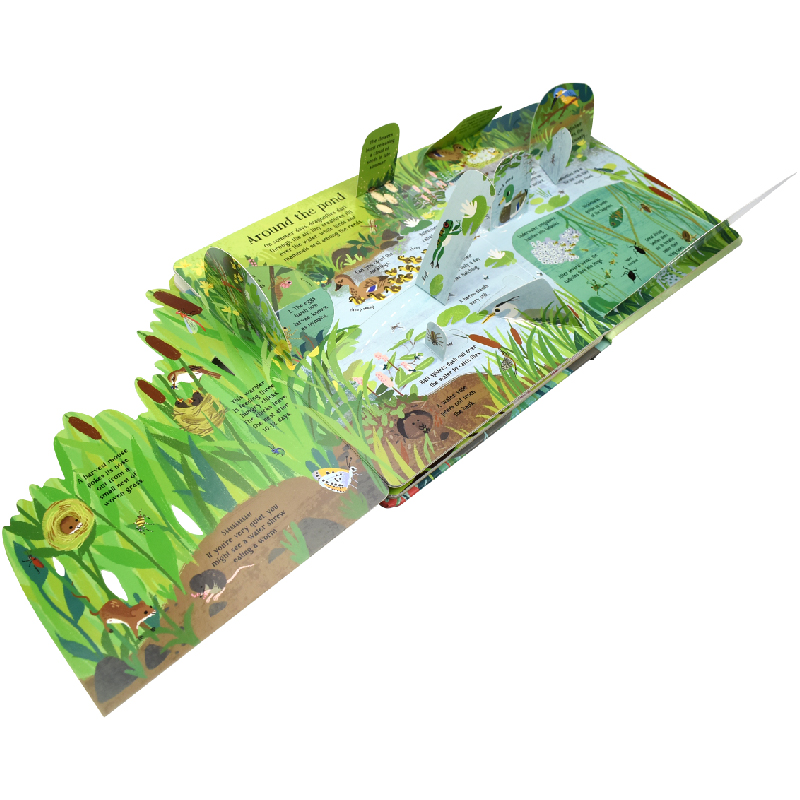 English Montessori 3D Usborne  - огляд і ціна Kids Education Picture