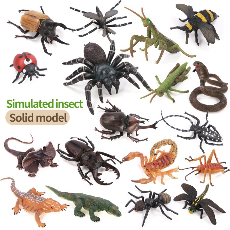 Educational Simulation Insect  - огляд і ціна Kids Education Picture