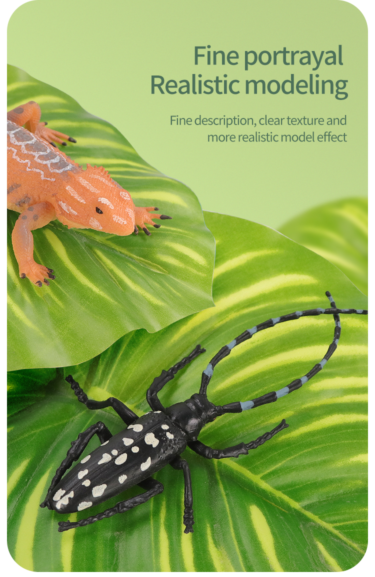 Educational Simulation Insect  - огляд і ціна Kids Education Picture