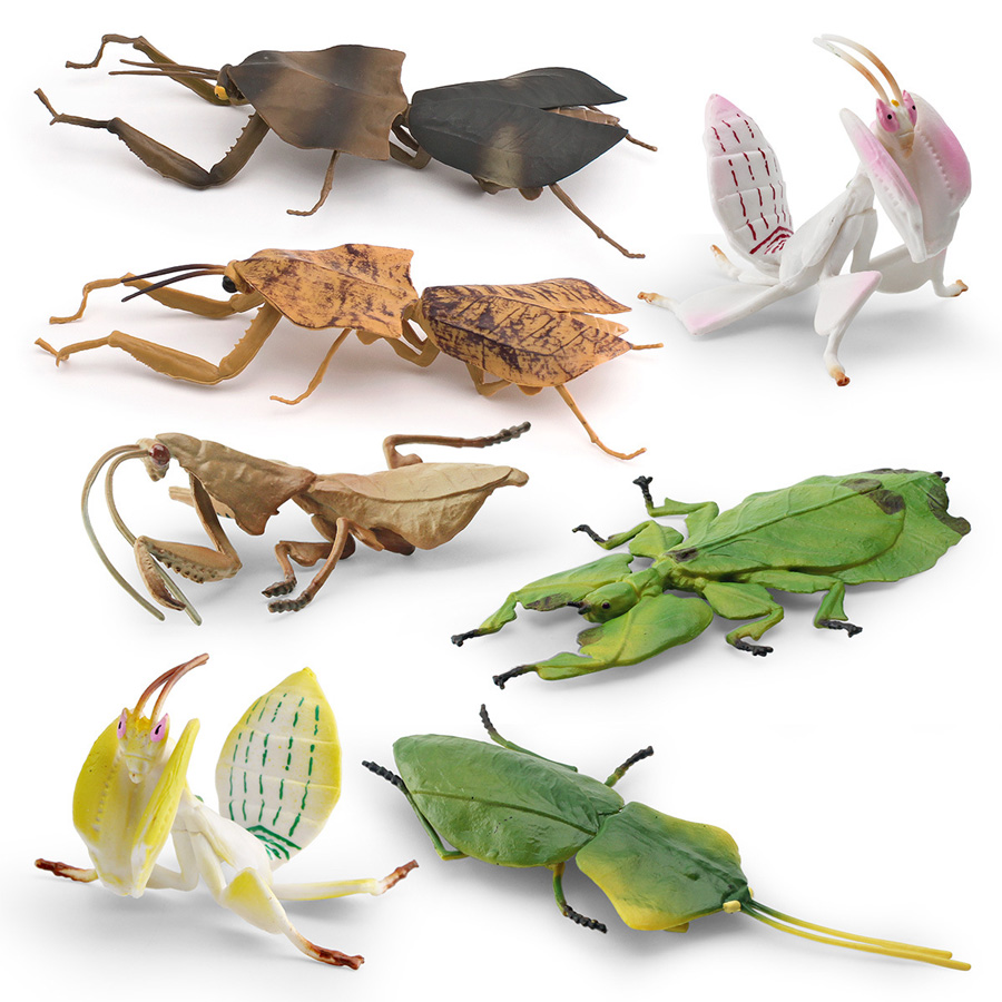 Realistic Orchid Mantis Dead L - огляд і ціна Kids Education Picture